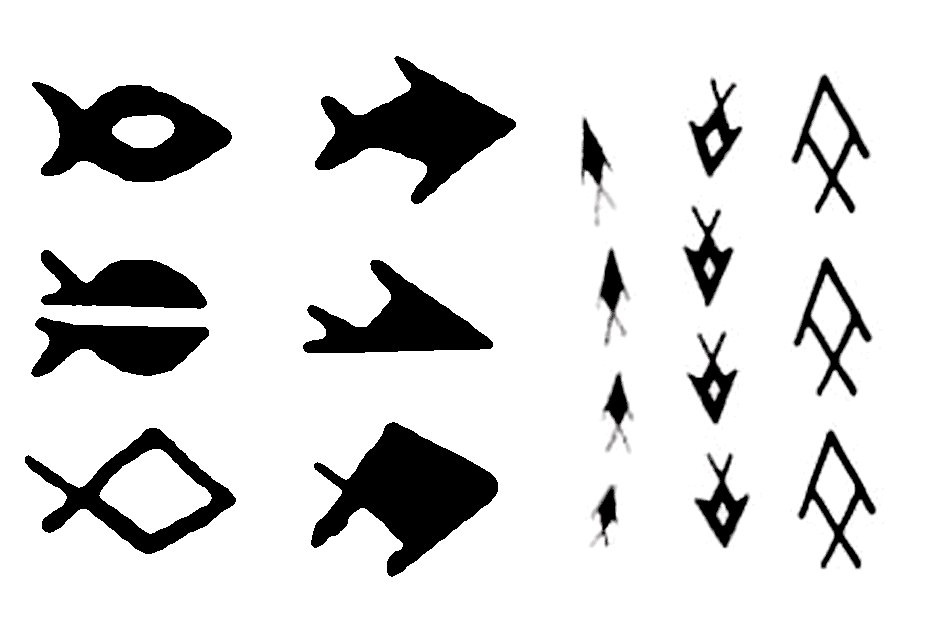 simboli polinesia content pastinaca
