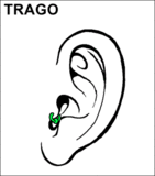 3-5 mesi
