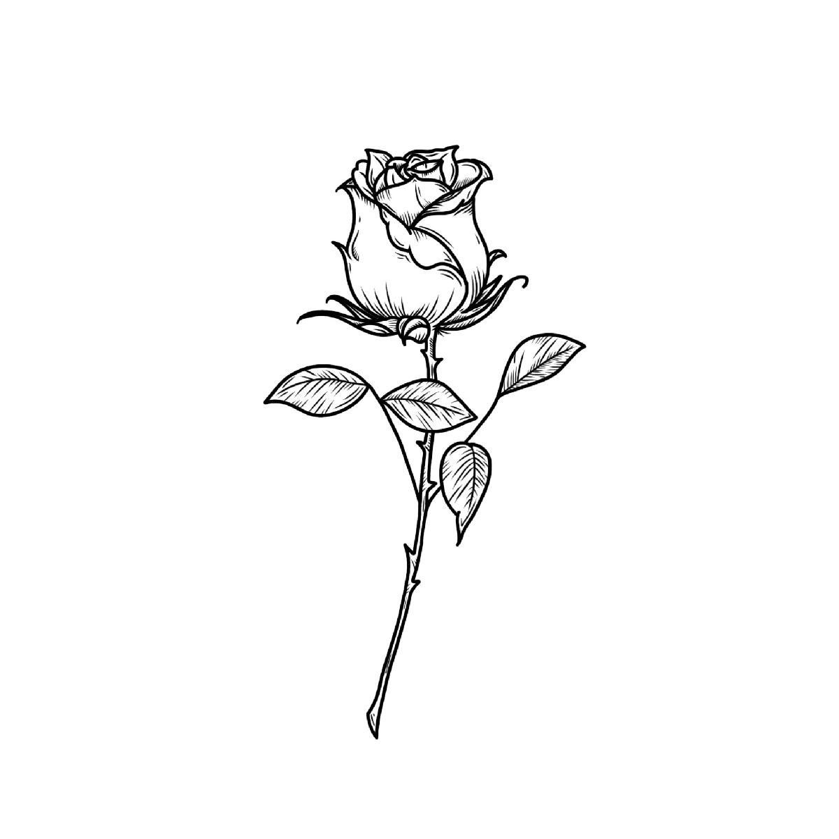 Avatar di frnk.tattoo
