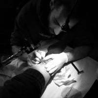 EntropicPainT