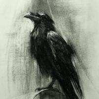 Avatar di HORSON