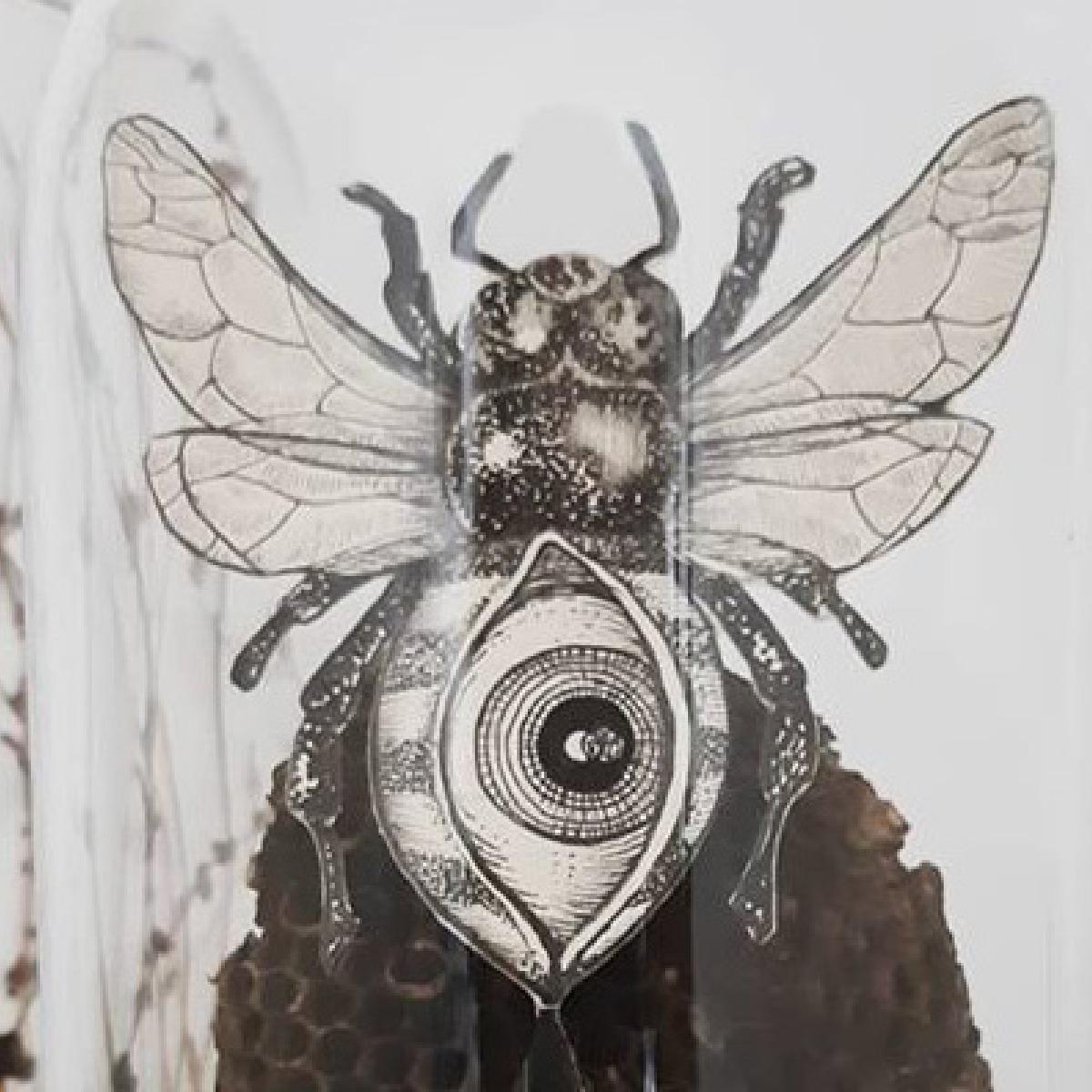 Avatar di Abeille66