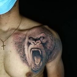 Gorilla