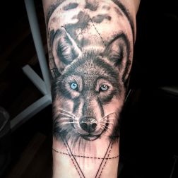 Animali-1