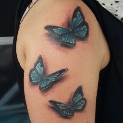 Butterfly-1