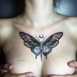 butterfly-1
