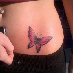 Butterfly-2