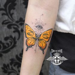 butterflyeye-1