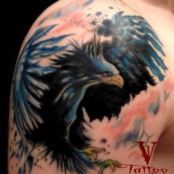 eagle-1
