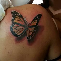 Farfalla-1