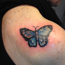 farfalla cover up-1