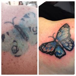 farfalla cover up-2