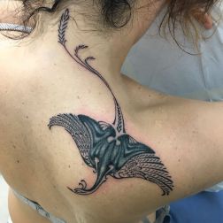 fenice-1