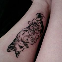 Fox-1