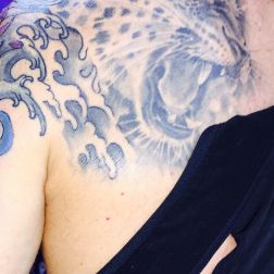 Leopardo-1