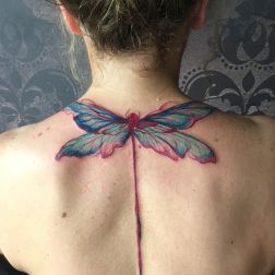 libellula-1