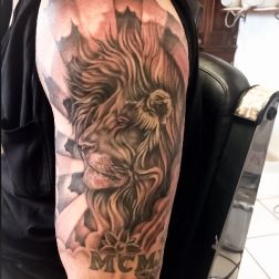 Lion-1