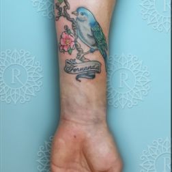 ramo di ciliegio con blue bird-1