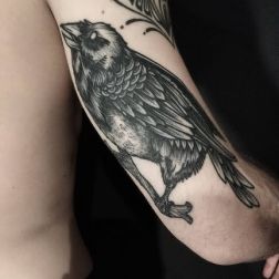 Raven black tattoo-1