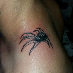 spider-1