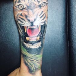 Tigre - Autotatuaggio-1