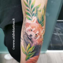 Un amore di cucciolo-1