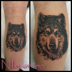 wolf-1