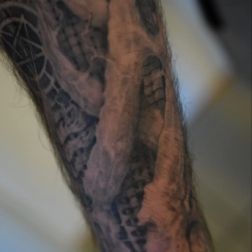 Biomech arm-1