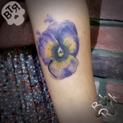 floreale-1