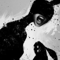 NOIR-1