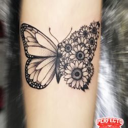 Butterfly and sunflowers-1