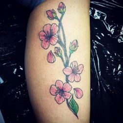 cherryblossoms