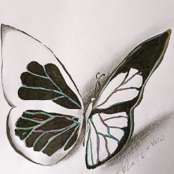 Farfalla-4