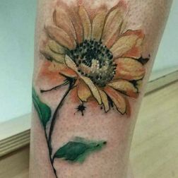 Fiori,-2
