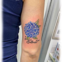 flowers-2
