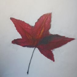 Foglia della passione-5