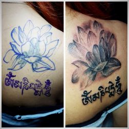 lotus flower