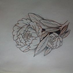 peony-1