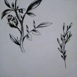 peony-3