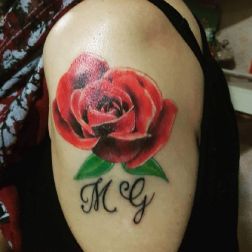 realistic rose