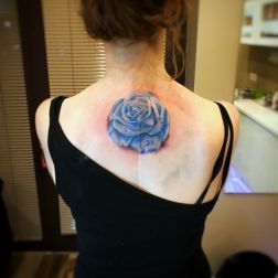 Rosa Blu-1