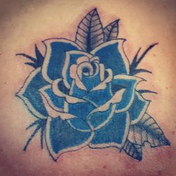 Rosa blu-1