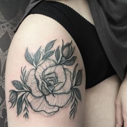 rosa gamba-1