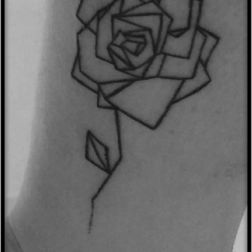 Rosa geometrica-1