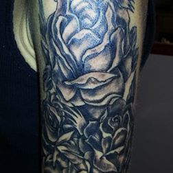 Rose-1