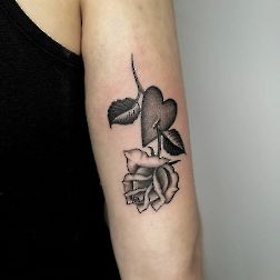 rose e fiori-3
