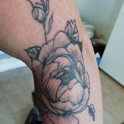 rose e peonie-1