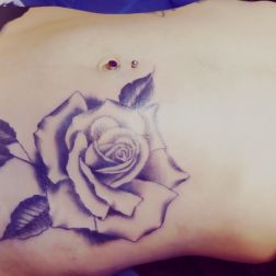 roses-1