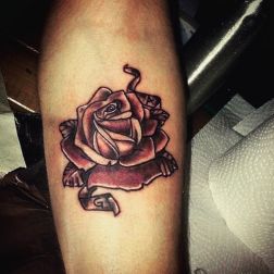 Roses-3