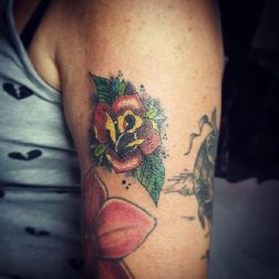 traditional rose